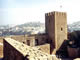 Safi 